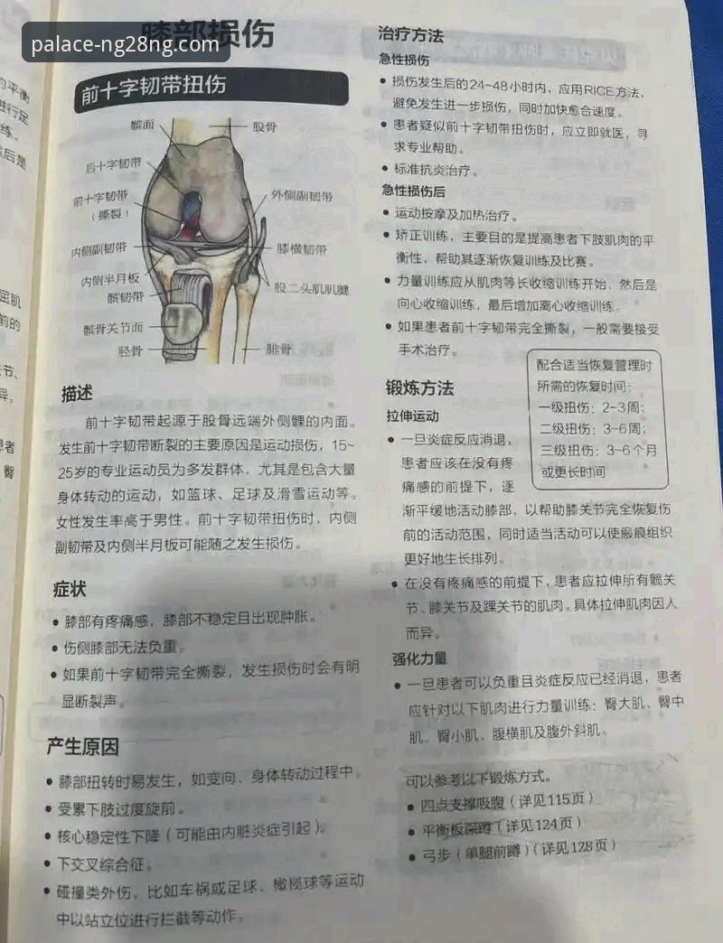 南宫28NG28官方网站 瑞典中场贝里瓦尔世预赛生死战康复历程完整指南:从韧带手术到世界杯梦想的实战经验